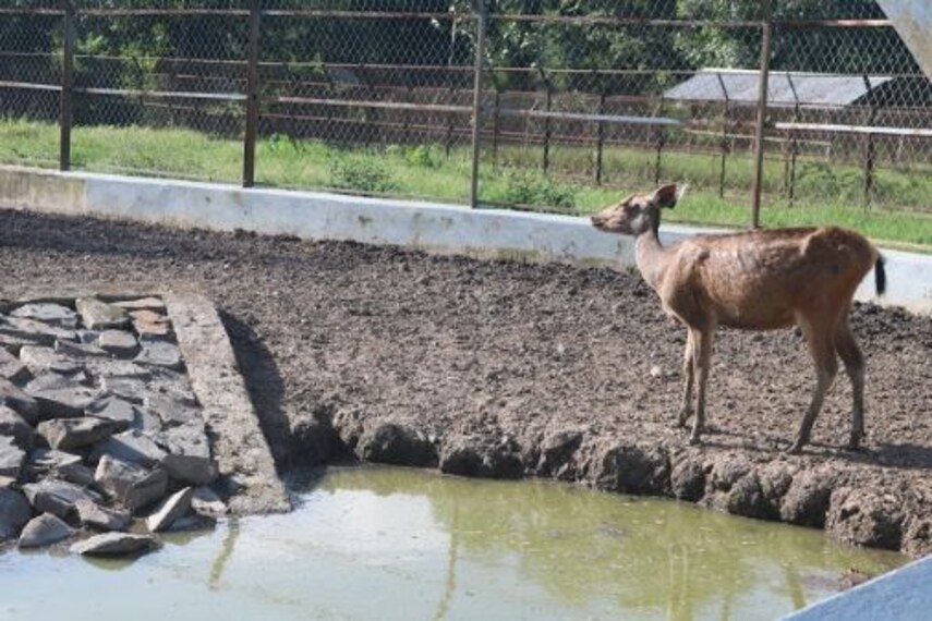 Explore Manipur Zoological Garden-4